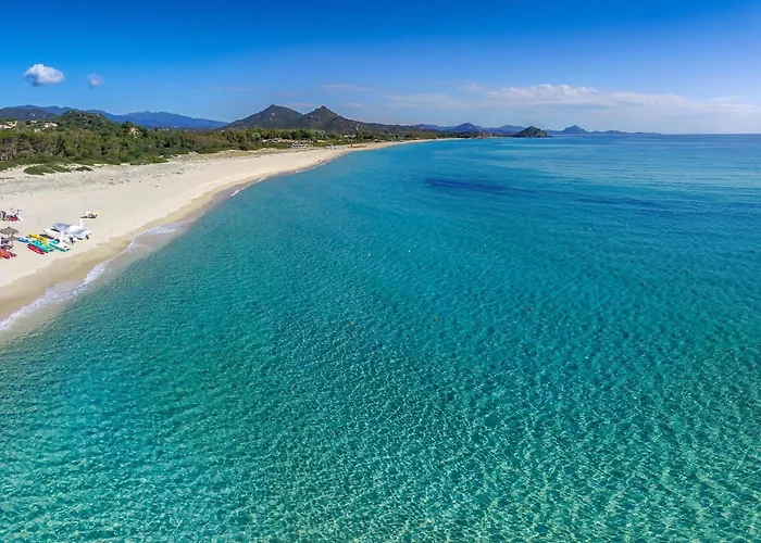 فيلة Li Conchi 13 *