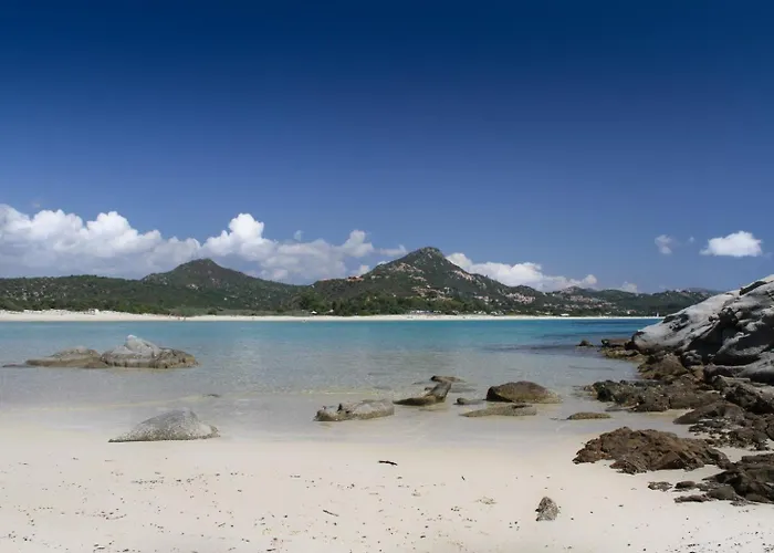 Li Conchi 13 فيلة كاستياداس