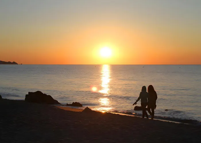 فيلة Li Conchi 13 *